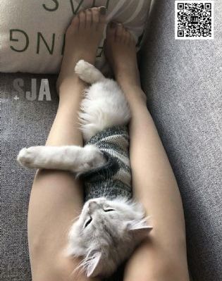福利一区视频_4K手机在线观看