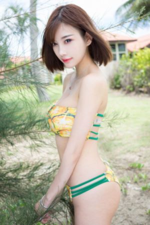 国产高清一本dvd_4K免费观看韩国