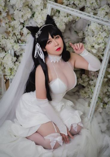 欧美综合视频网站_DVD免费全集观看